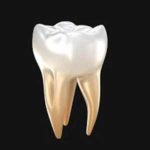 دکتر لیلا مستخدمین حسینی